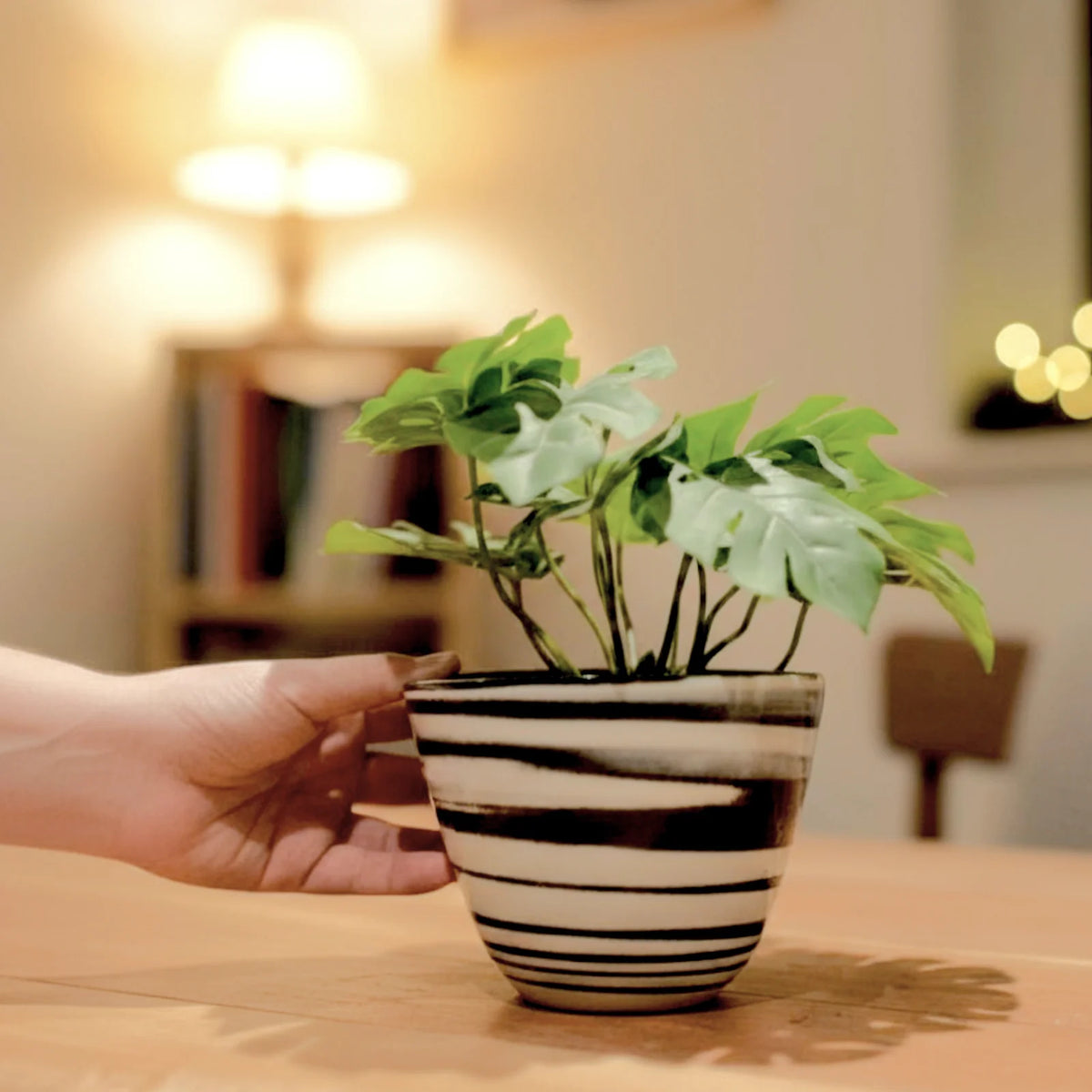 Cache-pot en terres mêlées – Porcelaine blanche et noire • Cyclone